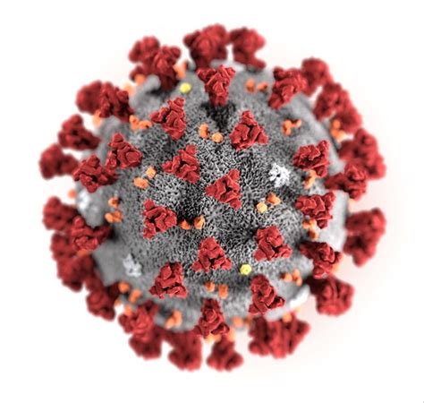 It is very contagious and has quickly spread around the world. Sciences: Le virus Covid-19 est-il sorti d'un laboratoire ...
