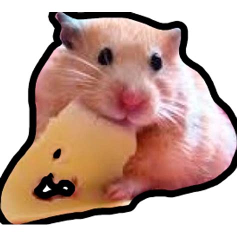 Hamster Meme Png Transparent Sticker Maker Hamsters Memes Make