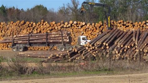 Tigercat C Knuckleboom Loader Unloading Trucks In Rex