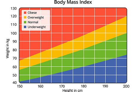 How To Measure Body Fat Percentage