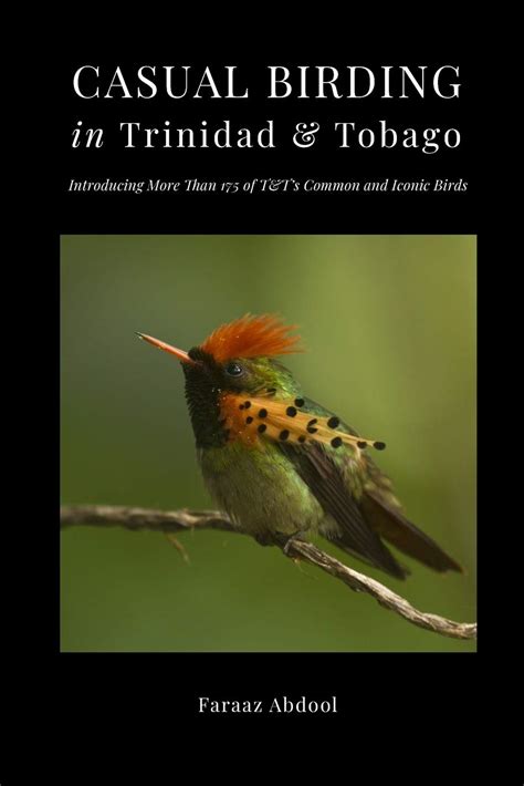 New Book Casual Birding In Trinidad And Tobago Introducing More Than