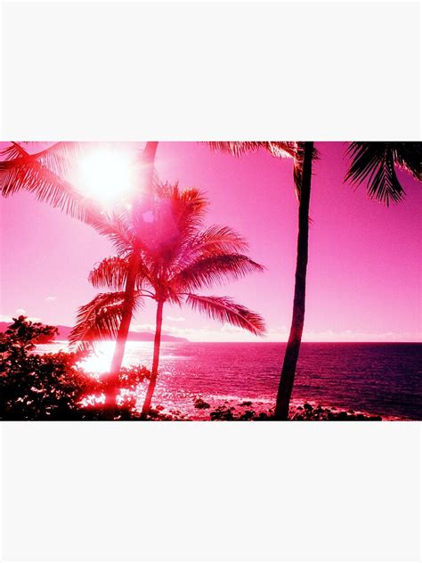 Neon Pink Palm Trees Pink Beach Poster For Sale By Newburyboutique