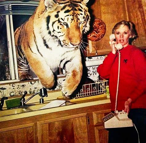 90 Year Old Tippi Hedren Still Lives With Lions And Tigers At Home