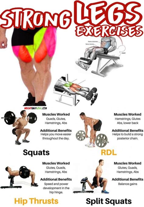 Full Leg Workout Video And Guide