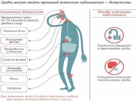 Вызвать рвоту чтобы похудеть