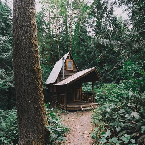 Pacific Northwest Wonderland On Instagram Life Deep In The Washington