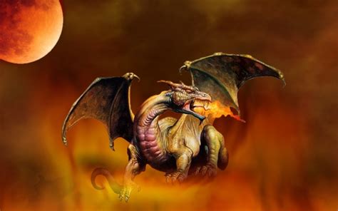 Dragons Magical Creatures Wallpaper 7842014 Fanpop