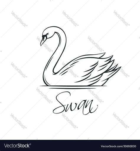 Swan Outline
