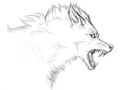 Wolf Face Drawing Step By Step At Explore
