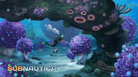 Underwater Subnautica Video Games Rare Gallery Hd Wallpapers