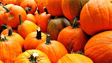 The Complete Guide To The Best Fall Festivals In Maryland