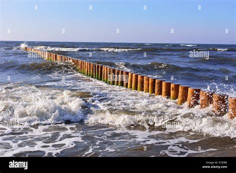 Wooden Wave Breakers On A Coast Of Baltic Sea Stock Photo Alamy