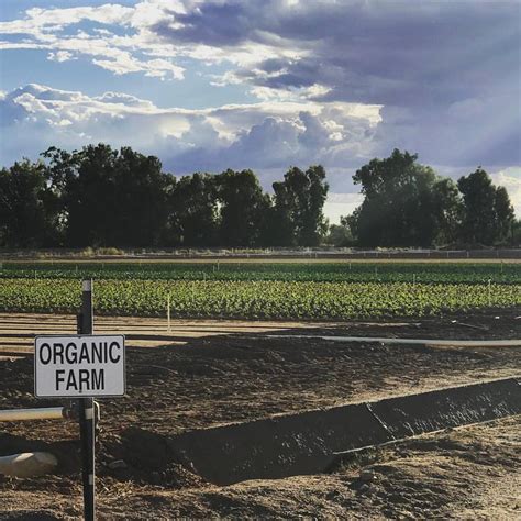 Blue Sky Organic Farms Localharvest