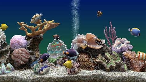 5 Best Virtual Aquariums Screensavers For Windows 1011 Pc