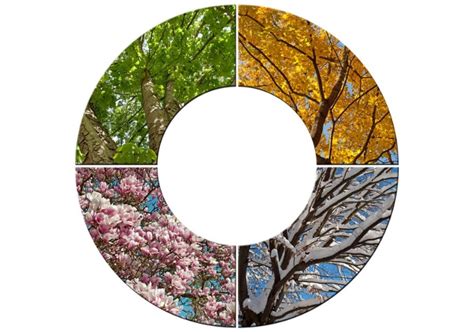 Seasons Change Educational Resources K12 Learning, Earth Science