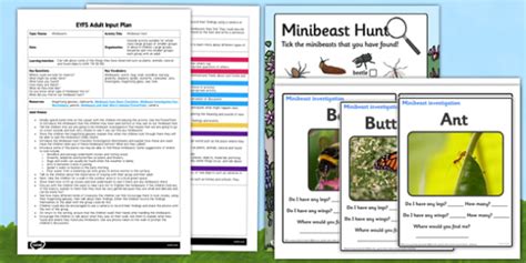 Minibeast Hunt EYFS Adult Input Plan And Resource Pack Adult Focus
