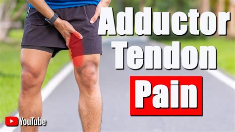 Groinadductor Pain Best Treatments And Exercises For Groin Strain Pain