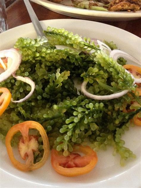 Lato Arorosep Or Seaweed Salad Food Philippines Pilipinas Pinas Pinoy Salad Greens