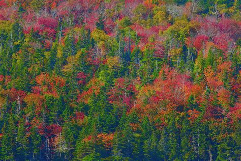Nova Scotia Fall Colour Photograph By Brian Knott Photography Pixels