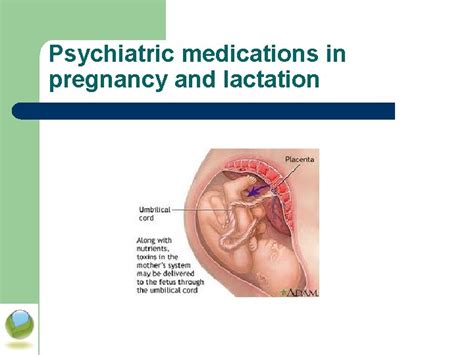 Psychiatric Medications In Pregnancy And Lactation Dr Bavi