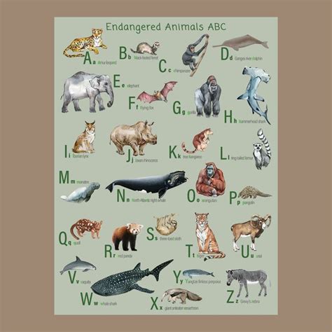 Endangered Animals Alphabet Poster In Mint Green On Archival Fine Art