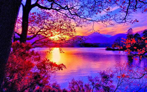 Beautiful Sunset Lake Tree Nature Sunset Hd Wallpaper Peakpx