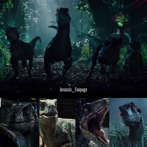 The Raptor Squad From Jurassic Fanpage Ig Jurassic Park World