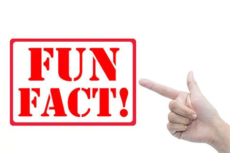 Fun Facts Stock Photos Pictures And Royalty Free Images Istock