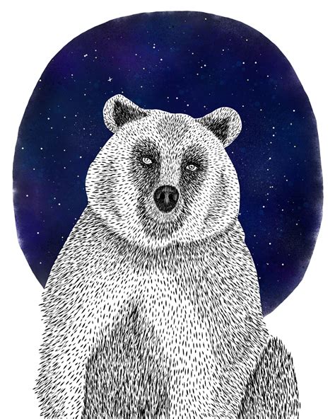 Bear Illustration Bear Illustration Bear Illustration