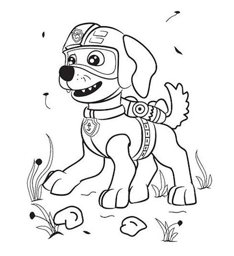 In dark of night, in light of day, we, the paw patrol will here's a coloring sheet of zuma, the chocolate labrador pup who happens to be the water rescuer in this series. zuma paw patrol disegni da colorare gratis per bambini ...