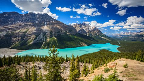 Peyto Lake Viewed In Banff National Park In The Canadian Rockies Nature