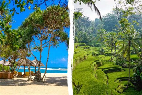 Bali Twin Centre Escape Ubud And Nusa Dua Blue Bay Travel