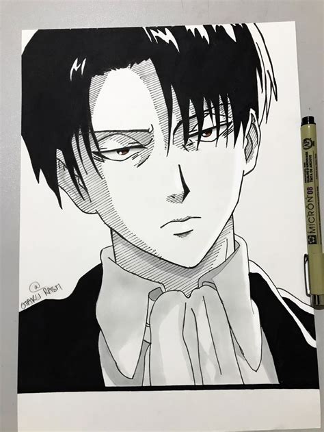 levi draw sdy