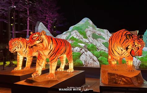 The 2022 Seoul Lantern Festival First Time At Gwanghwamun Wander