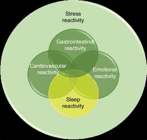 Diagram Indicating The Hypothesized Relationship Between Sleep