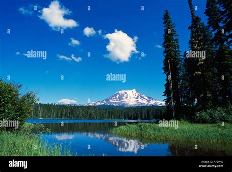 Takhlakh Lake Mount Adams Ford Pinchot National Forest Stock Photo