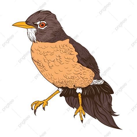Robin Bird Vector Hd Png Images Vector Illustration Art Robin Bird