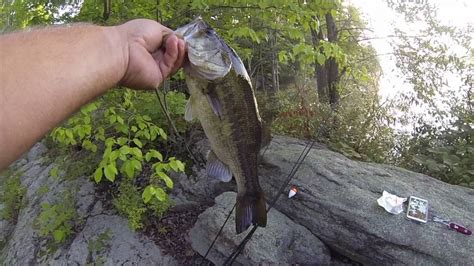 Fishing For Largemouth And Small Mouth Bass In New York Using The Senko