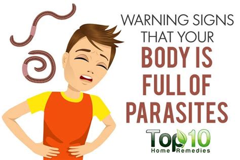10 Warning Signs That Your Body Is Full Of Parasites Page 2 Of 3