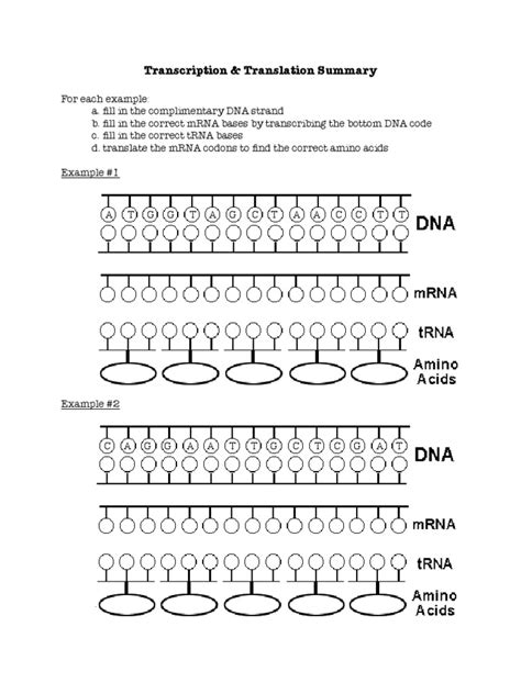 Includes a picture of dna, rna, nucleotides, and replication. transcription translation practice worksheet | Translation (Biology) | Biosynthesis