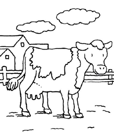It is difficult to imagine any peasant farmstead without cows. 25+ Best Picture of Cow Coloring Page - davemelillo.com ...