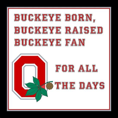 Ohio State Ohio State Buckeyes Quotes Ohio State Wallpaper Ohio State Buckeyes Football