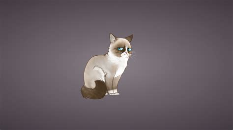 1920x1080 Resolution Grumpy Cat Meme Cat 1080p Laptop Full Hd
