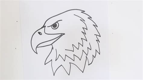 25 Easy Eagle Pencil Drawing Ericindiana