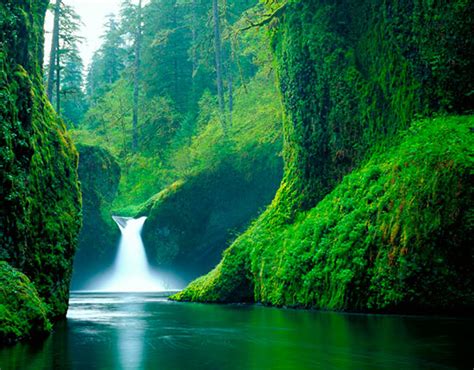 Maybe you would like to learn more about one of these? Download Outdoor Scene Wallpaper Gallery