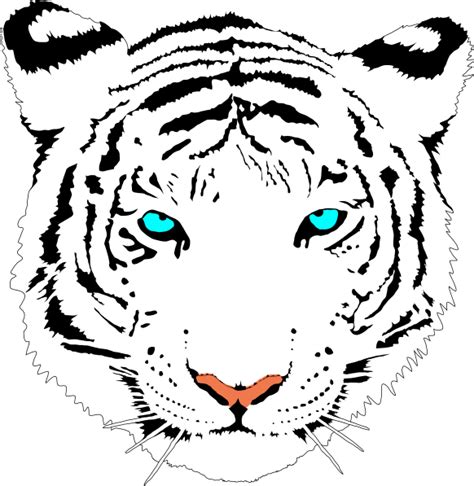 Bengal Tiger White Clip Art At Vector Clip Art Online