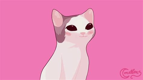 Pop Cat Animated Youtube