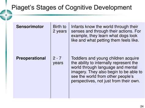 The Four Stages Of Piagets Theory Of Cafevienape Images And Photos Finder