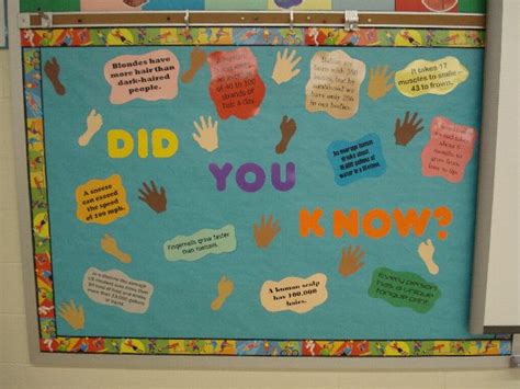 Pec Bulletin Boards For Physical Education