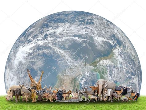 Animal Of The World With Planet Earth Stock Photo By ©anankkml 73889283